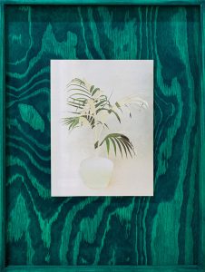 Das Foto einer getopften Palmenpflanze steht in der Mitte eines Hintergrunds aus grünem, holzartigem Material. Die Holzmaserung wirbelt und kontrastiert mit den einfachen, gedämpften Tönen des Pflanzenfotos. Das Bild ist grün umrahmt.