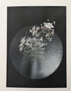 Ein monochromes Bild, das abstrakte, blattähnliche Formen in einem weichen, kreisförmigen Scheinwerferlicht auf dunklem Hintergrund zeigt und an ein künstlerisches, botanisches Röntgenbild erinnert.