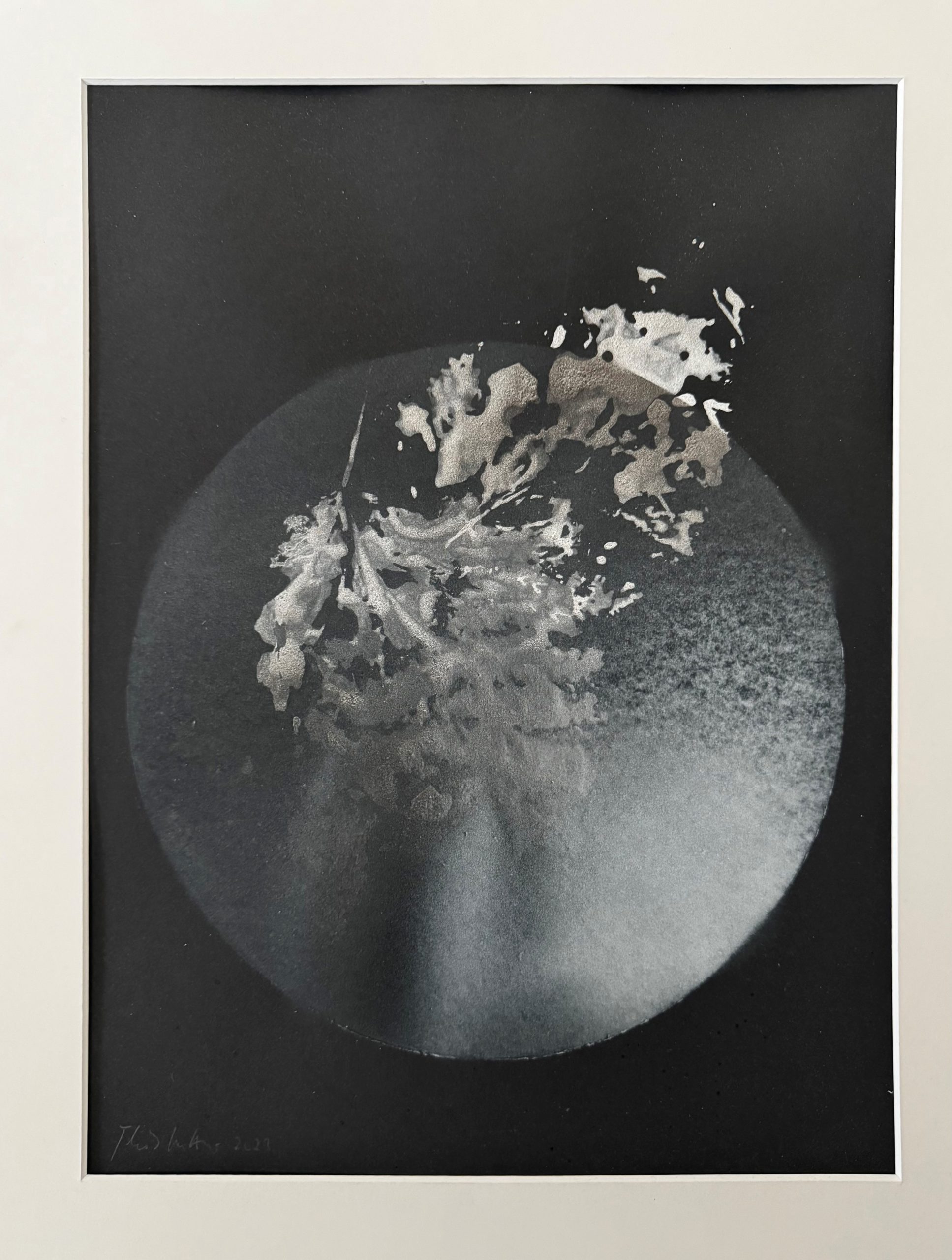Ein abstraktes Schwarz-Weiß-Bild zeigt ein Blatt in der Mitte, umgeben von einer kreisförmigen, nebligen Aura. Weiche Texturen und Farbverläufe strahlen nach außen und erzeugen einen ätherischen, traumhaften Effekt.
