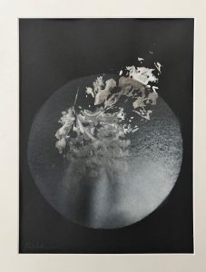 Ein abstraktes Schwarz-Weiß-Bild zeigt eine kreisförmige Komposition mit organischen Formen und Texturen, die an Blätter oder Blütenblätter erinnern, hervorgehoben durch den Kontrast von Licht und Schatten vor einem dunklen Hintergrund.